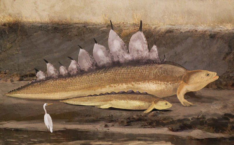 Illustration for article titled Cryptozoologicon Could Revolutionize the Field of Monster Studies